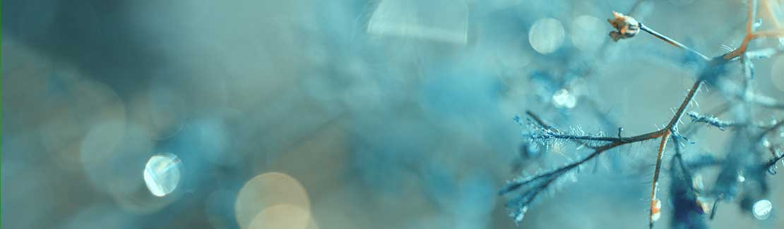 Heidak Gemmomazerate