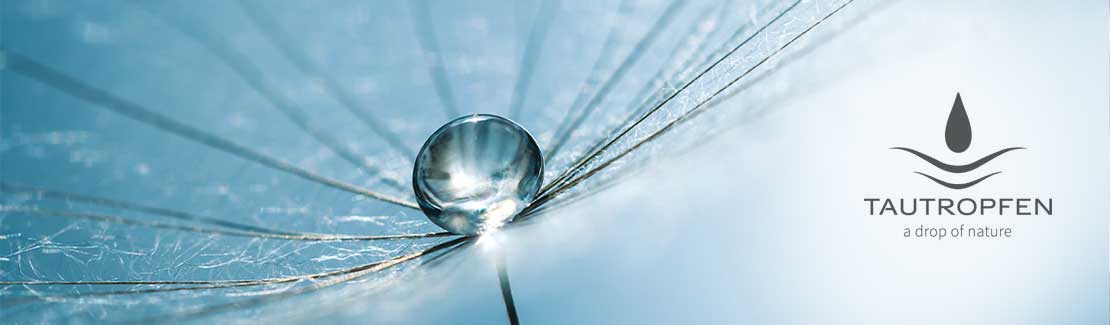 Tautropfen