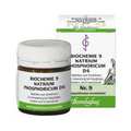 BIOCHEMIE 9 Natrium phosphoricum D 6 Tabletten