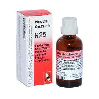 PROSTATA-GASTREU N R25 Mischung