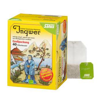 INGWER KRÄUTER-GEWÜRZTEE-Mischung Bio Salus Fbtl.