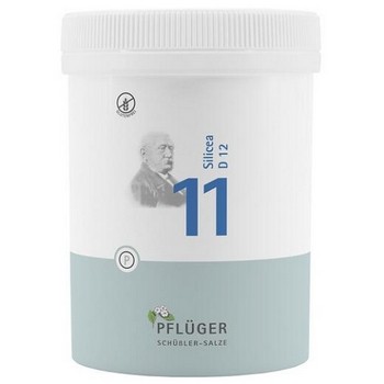 BIOCHEMIE Pflüger 11 Silicea D 12 Tabletten