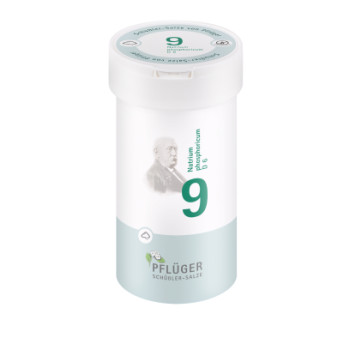 BIOCHEMIE Pflüger 9 Natrium phosphoricum D 6 Pulv.