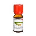 LEMONGRASÖL ProFuma Caelo HV-Packung