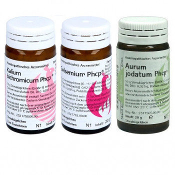 Phönix Wahrnehmungskonzept